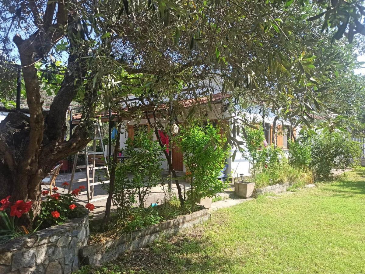 Zephyr Guest House Лефокастро Экстерьер фото
